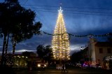 Lemoore's striking Christmas tree, an annual contribution from the Lemoore Volunteer Fire Department, lights up a cool, clear Saturday night.